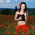 Smiling Poppies - image control.gallery.php