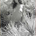 Sexxy Brandon shows off her tight sexy body!
 - image control.gallery.php